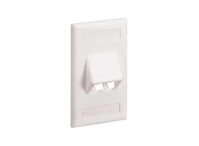 descarga-26.png Placa de pared Panduit CFPSL2IWY color marfil