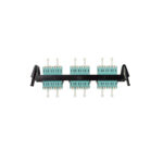 ric f lcq24 01c 2