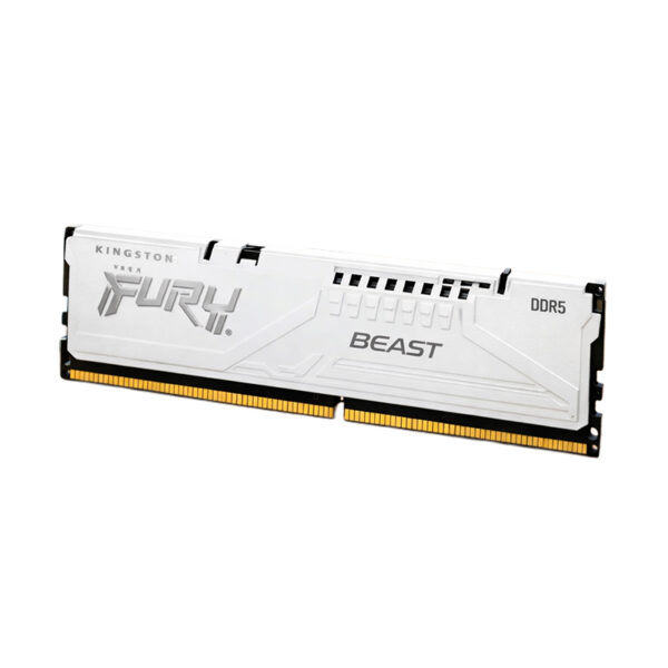 Memoria Kingston Fury Beast, 16GB DDR5 -5600MT/s, CL36, 1.25 V, KF556C36BWE-16