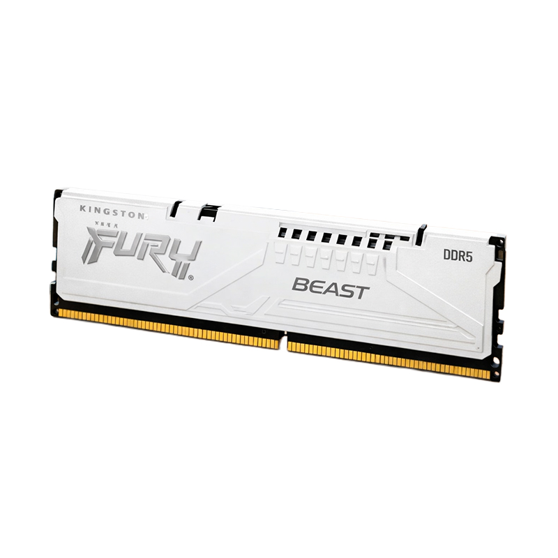 Memoria Kingston Fury Beast, 16GB DDR5 -5600MT/s, CL36, 1.25 V, KF556C36BWE-16