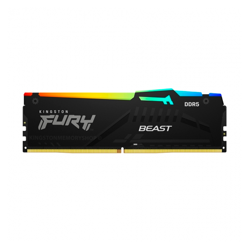 Memoria RAM Kingston Fury Beast RGB 16 GB DDR5 5600 MHz CL40 DIMM para PC KF556C40BBA-16