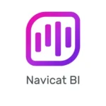 Navicat BI